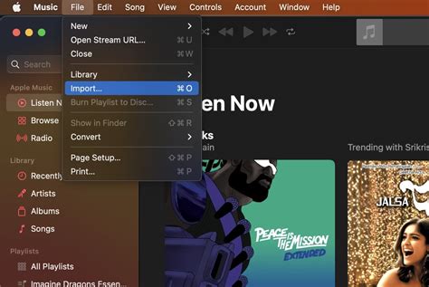 how to import music to apple music and why you should consider using a cloud-based storage service for your digital library